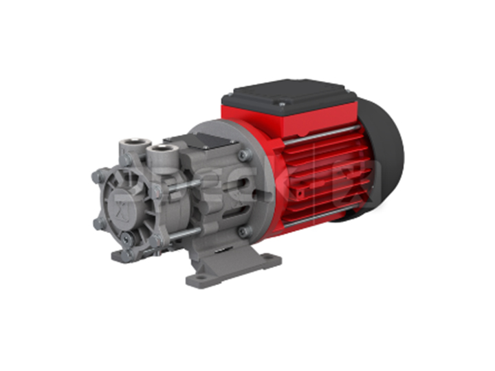 德國SPECK品牌NPY-2251-MK高溫油泵高效率離心泵節能